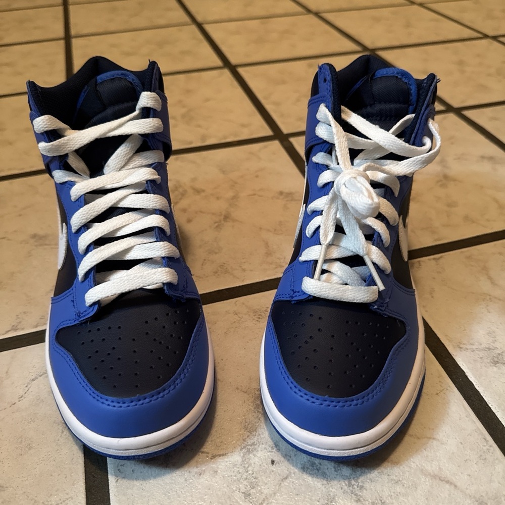 Nike Dunk High (GS)